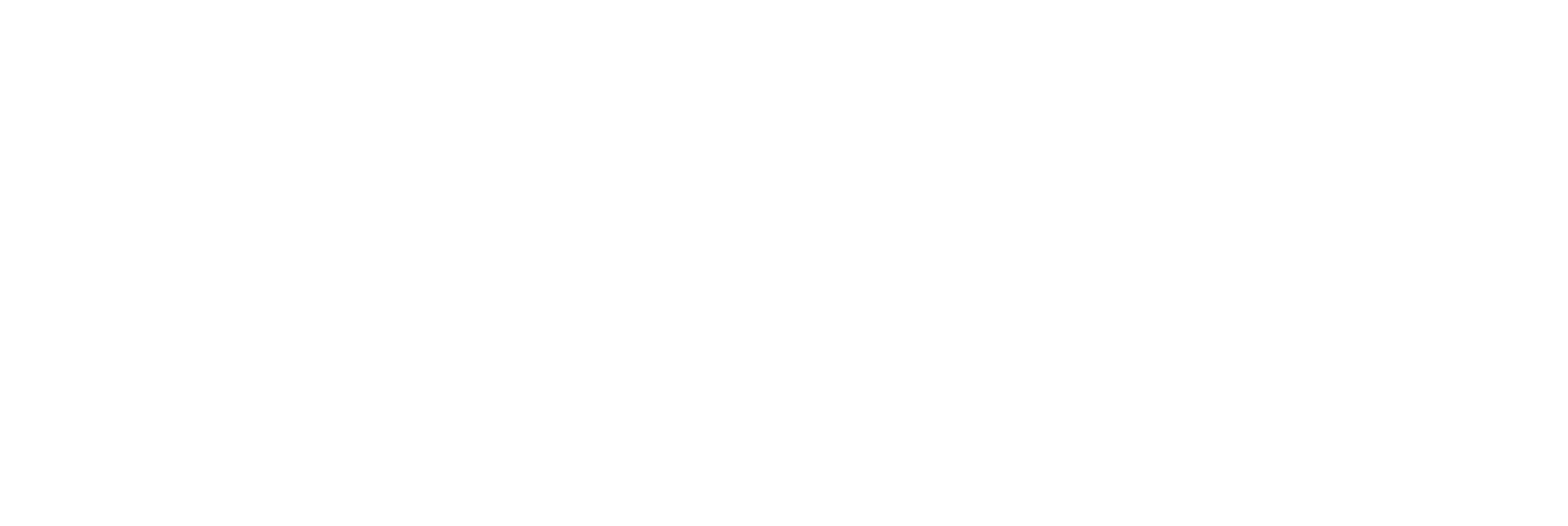 logo larraioz basque automation